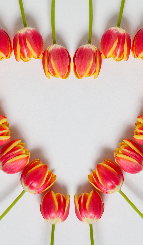 Сердце из красных тюльпанов на сером фоне