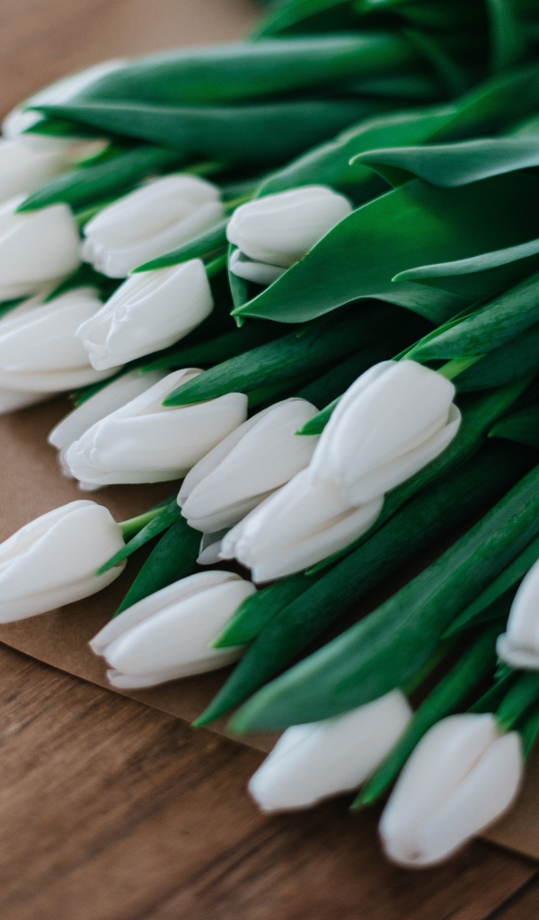 Большой букет белых тюльпанов в бумажном пакете 