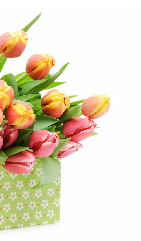 Большая коробка с разноцветными тюльпанами