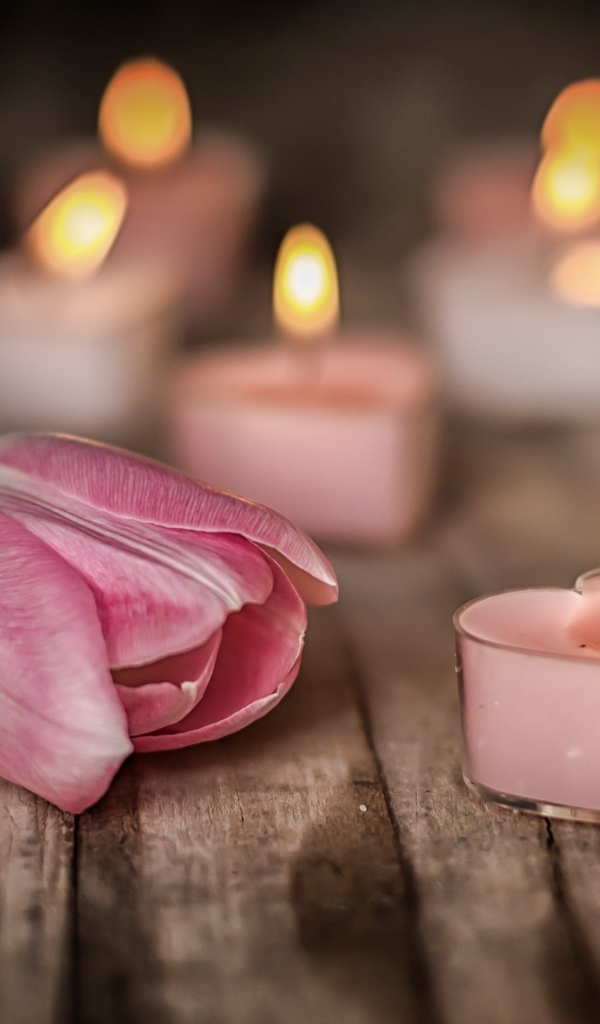 Зажженные стены на столе с розовыми тюльпанами 