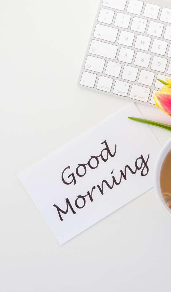 Ноутбук с букетом тюльпанов и какая и надписью с Добрым утром