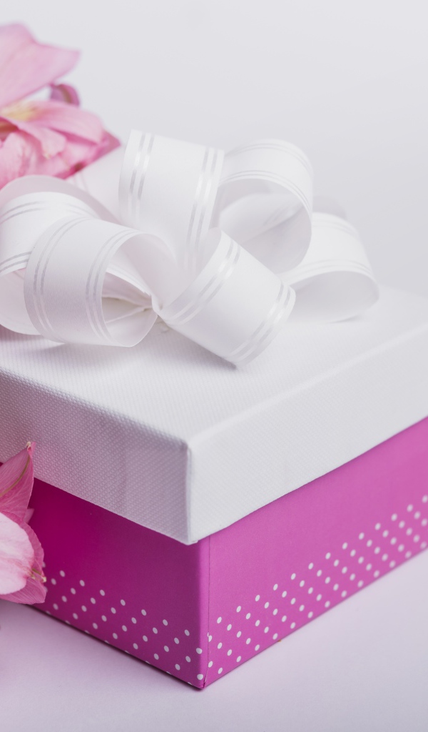 Розовые цветы альстромерии на сером фоне с подарком 