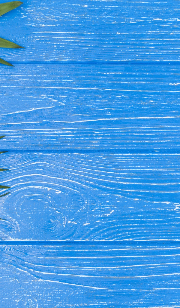 Розовые цветы альстромерии с зелеными листьями на голубом столе 