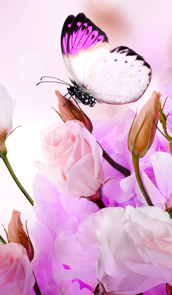 Розовые цветы эустомы с бутонами на фоне с бабочками