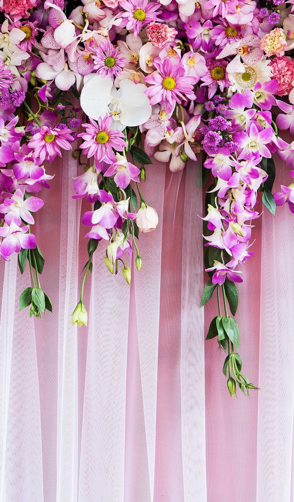 Розовые  живые цветы висят на стене 