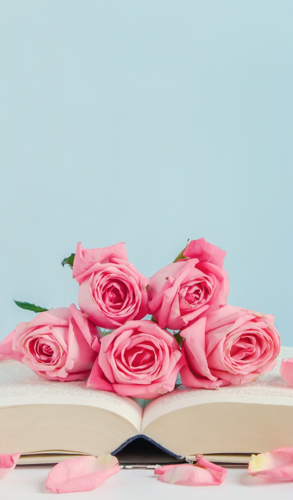 Розовые цветы розы с книгой на голубом фоне