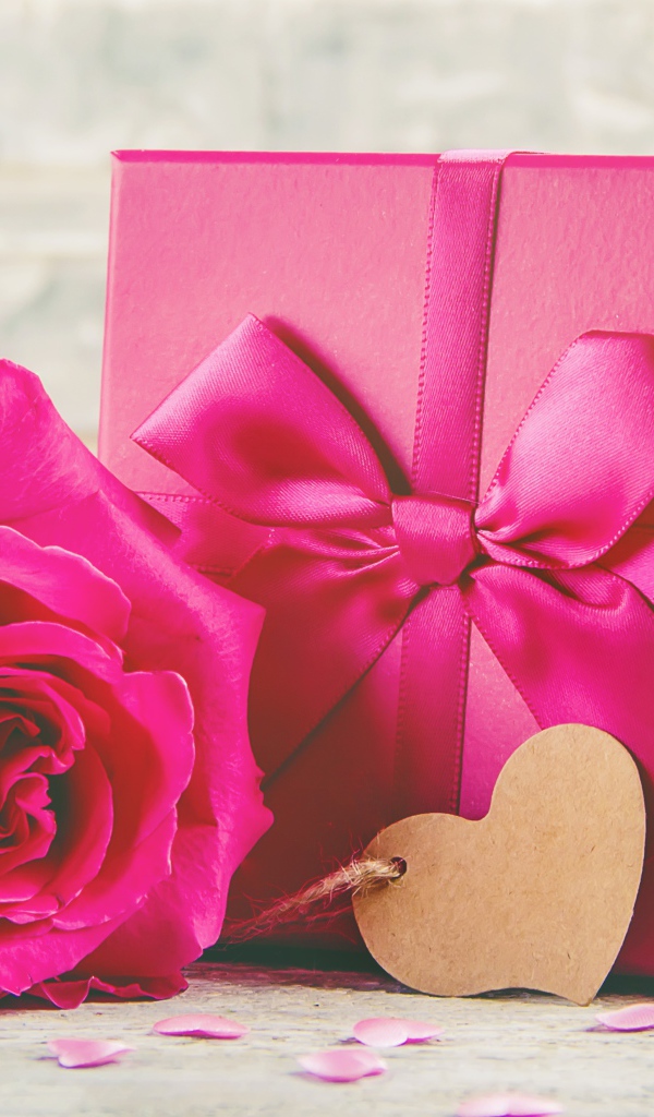 Розовая роза на столе с большим подарком с бантом