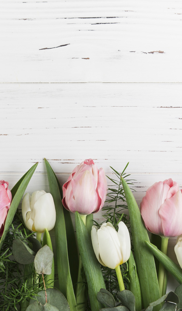 Розовые тюльпаны и розы на белом фоне