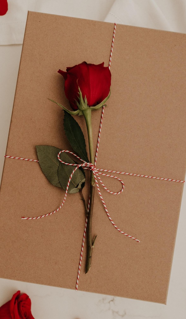 Red rose with a gift on the bed for a loved one