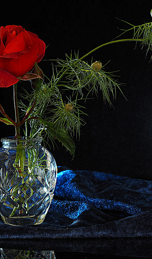 Красная роза с бутонами в стеклянной вазе на черном фоне