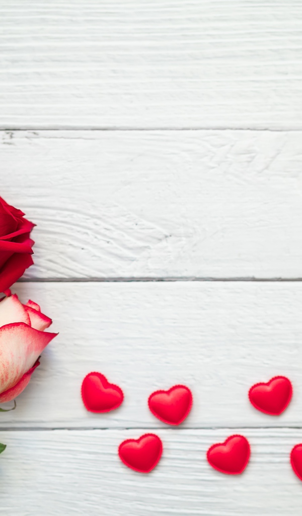 Три свежие розы на сером столе с красными сердечками