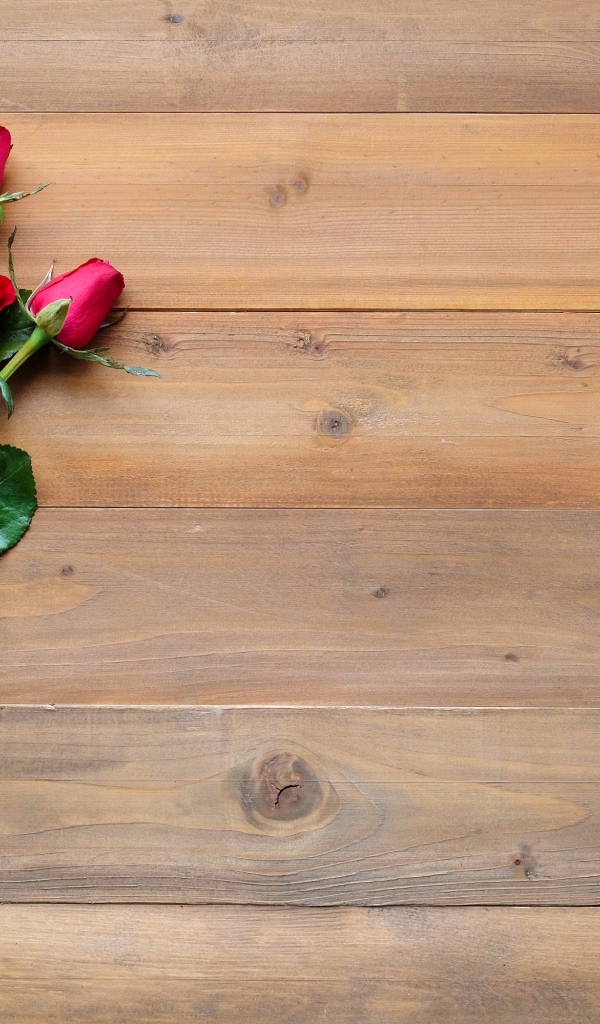 Три красные розы лежат на деревянном столе 
