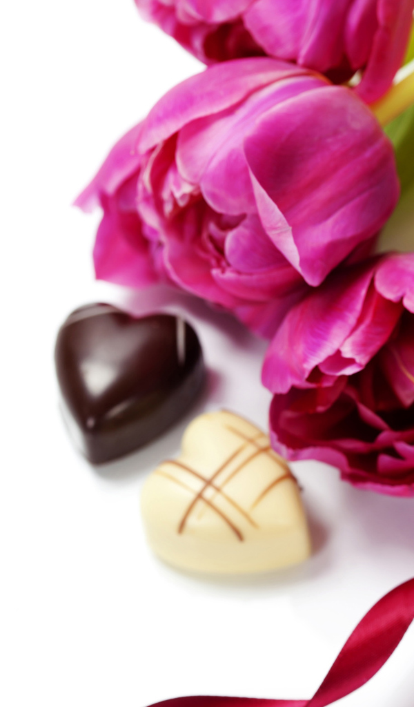 Тюльпаны на белом фоне с шоколадными конфетами