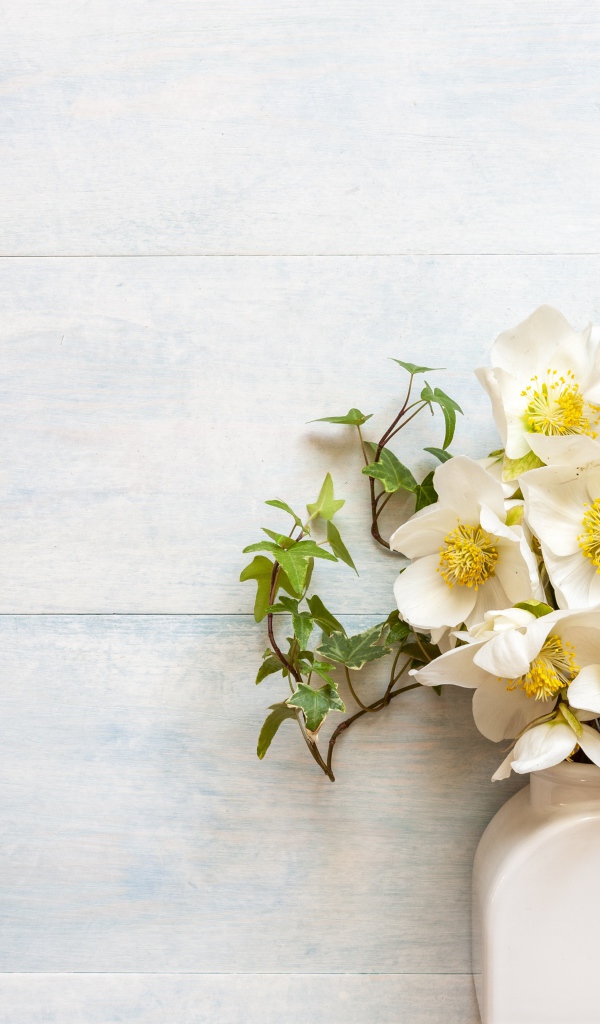 Белые цветы морозника в вазе у стены