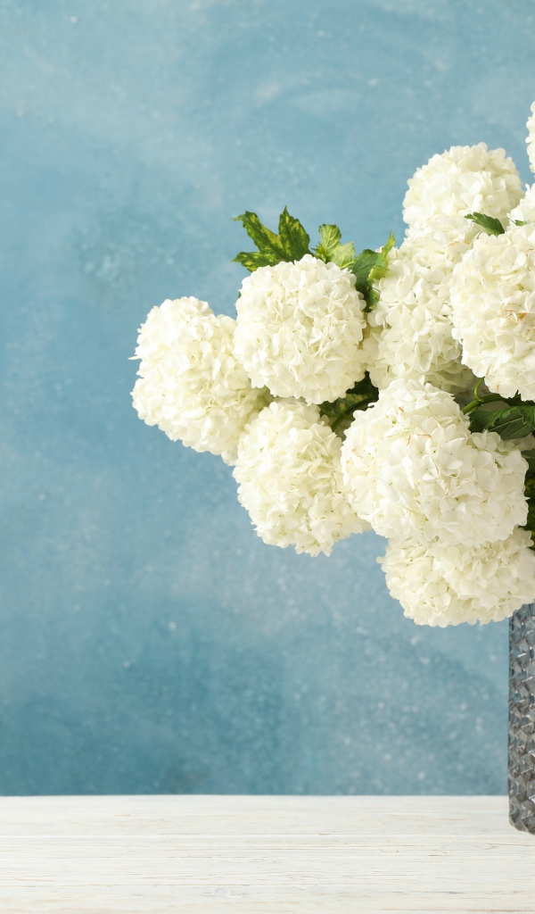 Белые цветы гортензии в стеклянной вазе на столе 