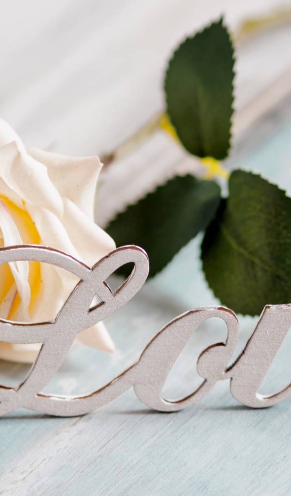 Белая надпись любовь на английском с белой розой