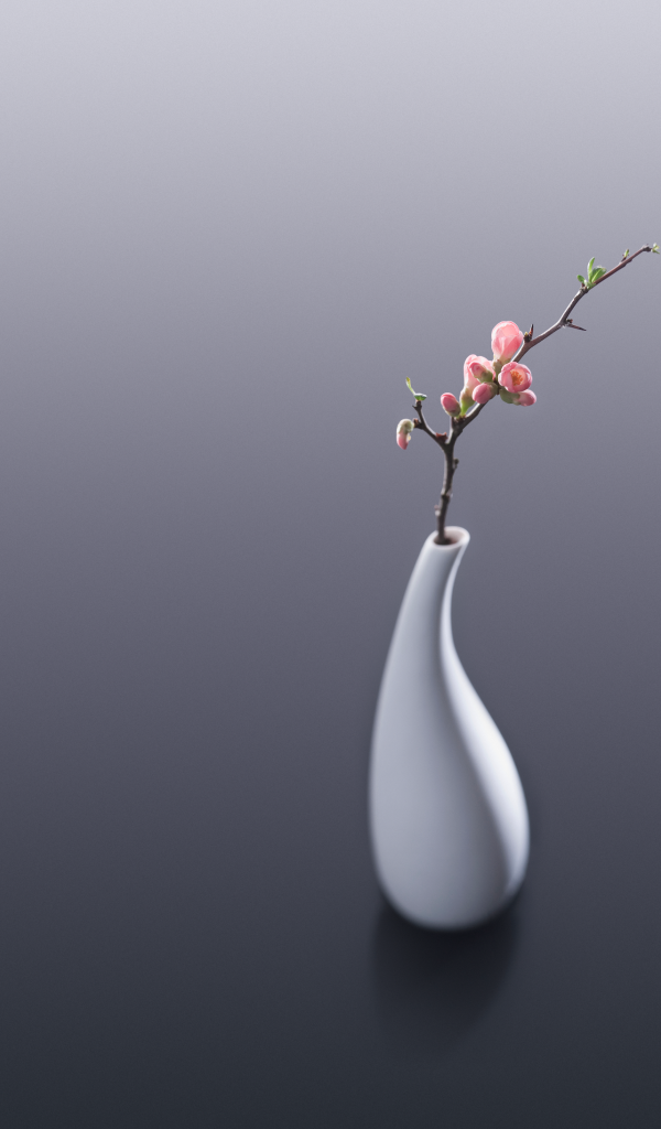 Белая ваза с веткой с розовыми цветами на сером фоне