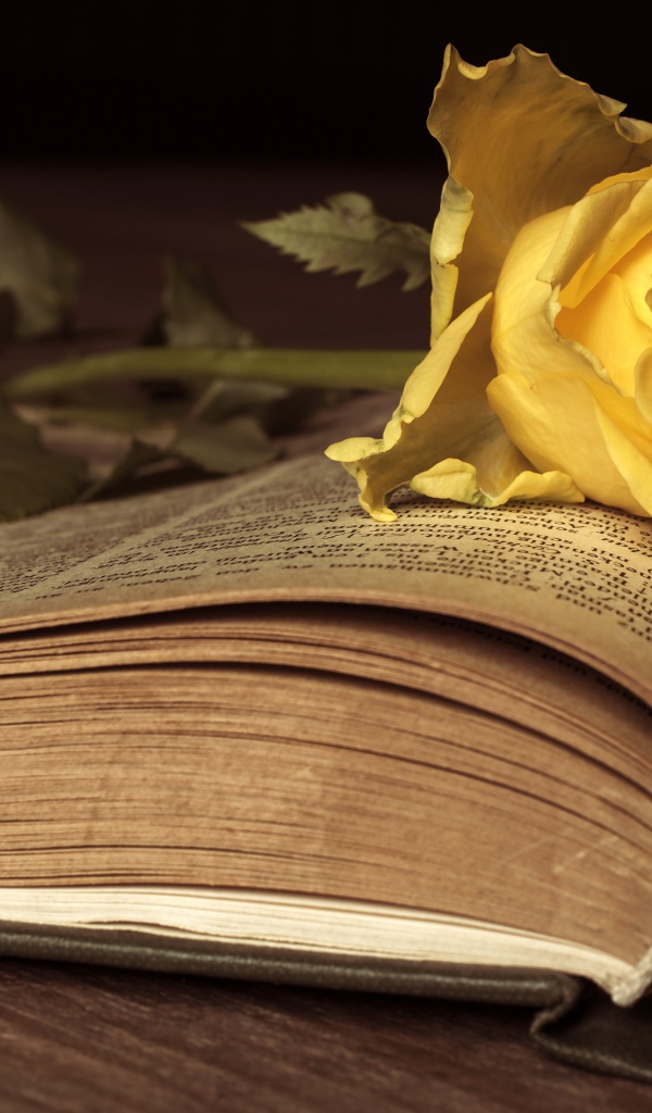 Желтая книга лежит на старой книге 