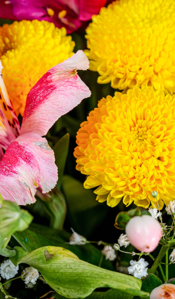 Желтые хризантемы и цветы альстромерии в букете 