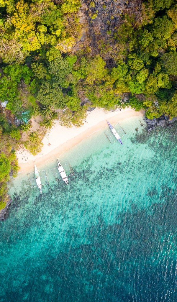 Вид на голубую воду и лес сверху 