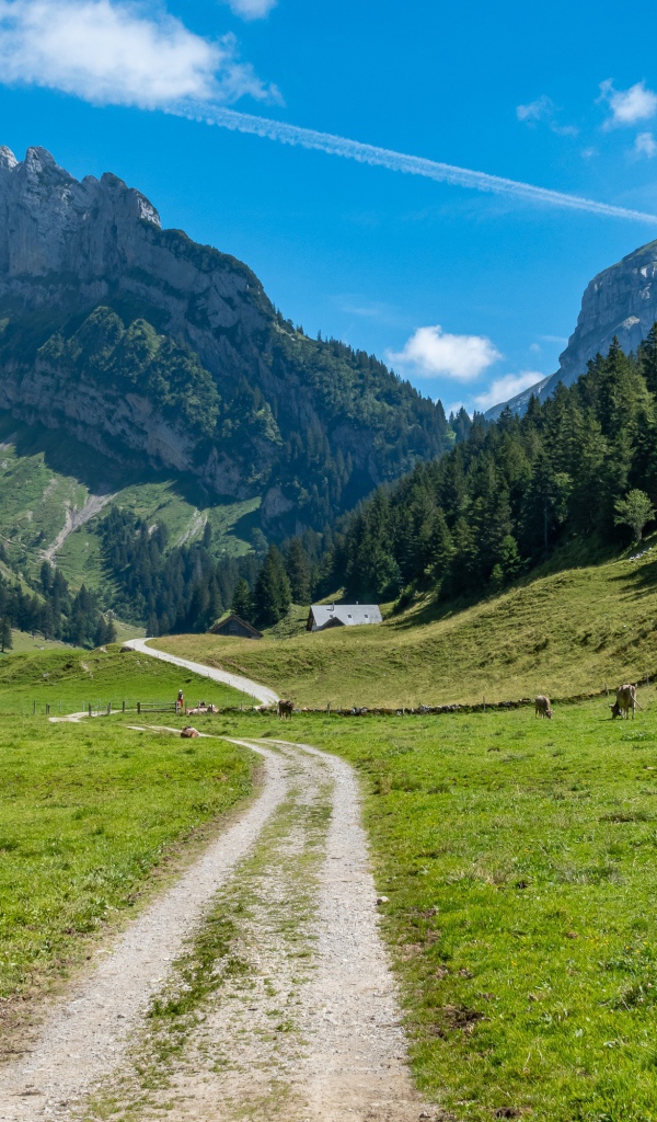 Красивый вид на гору под голубым небом летом 