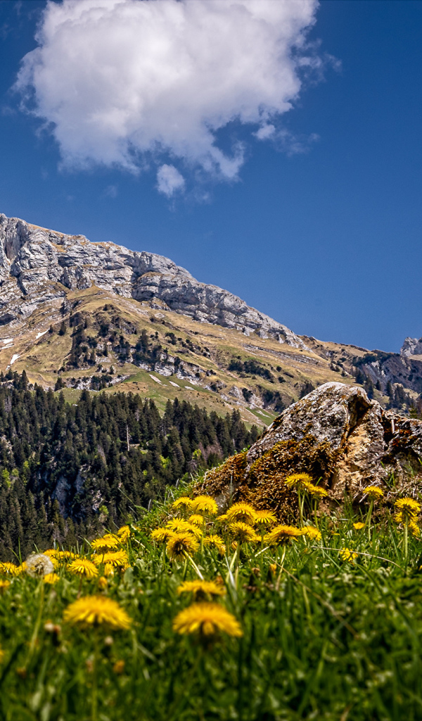 Красивая природа у подножия высокой горы под голубым небом 
