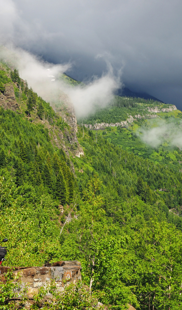 Красивый вид на покрытые зеленью горы в белых облаках 