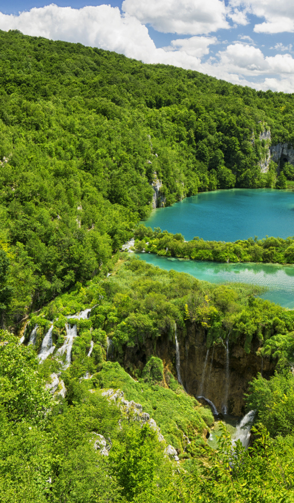 Голубая вода в озере у покрытых деревьями гор 