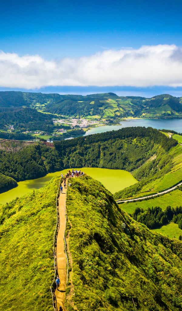 Покрытые зеленью горы в живописном фьорде 