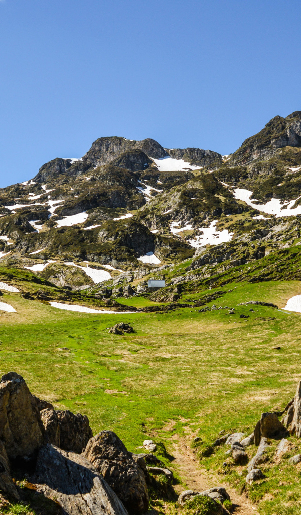 Зеленая трава у подножия заснеженных гор 