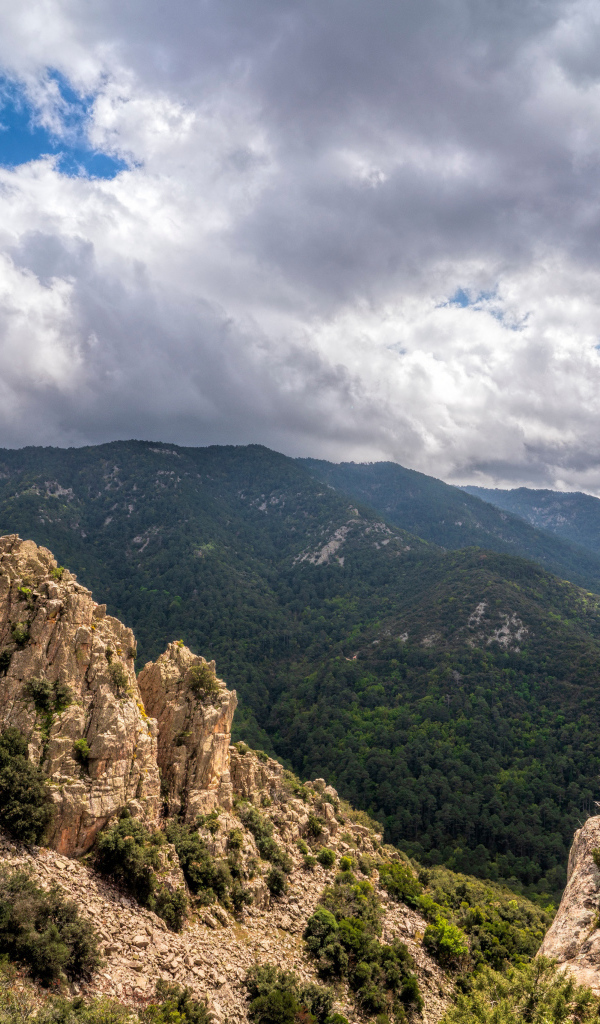 Зеленые вершины гор под белыми облаками 
