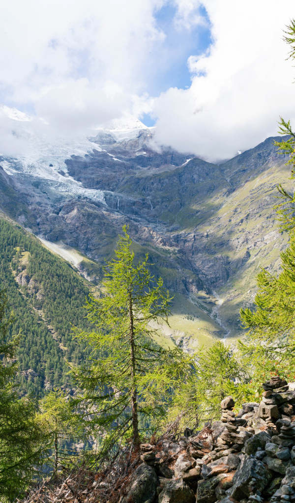Высокие покрытые хвойным лесом горы под облачным небом 
