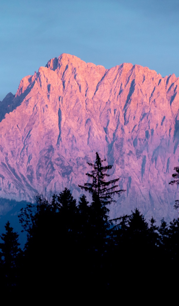 Высокие горы в лучах солнца у хвойного леса 