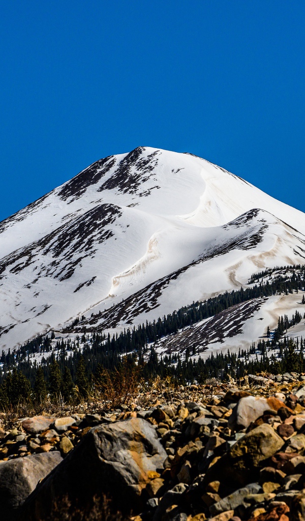 Высокая заснеженная гора под голубым небом