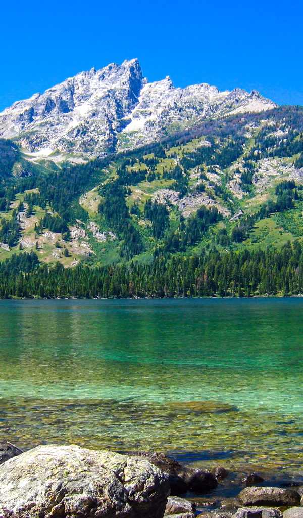 Большая покрытая растительностью  гора у озера