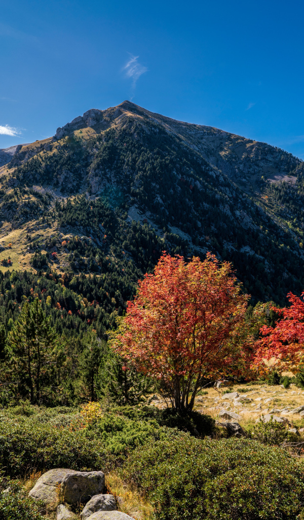 Вид на гору под голубым небом