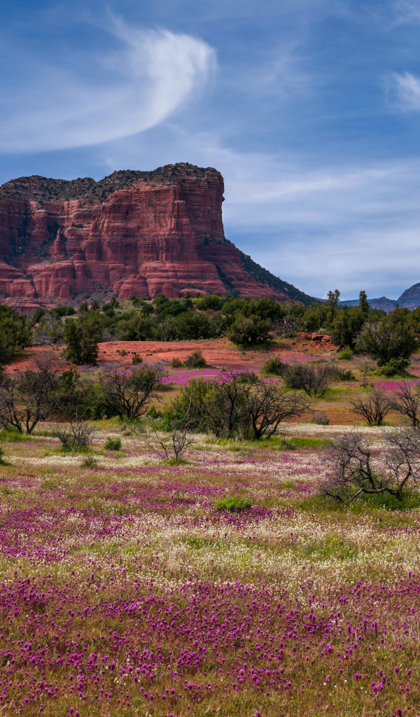 Скалистые горы под красивым голубым небом, США
