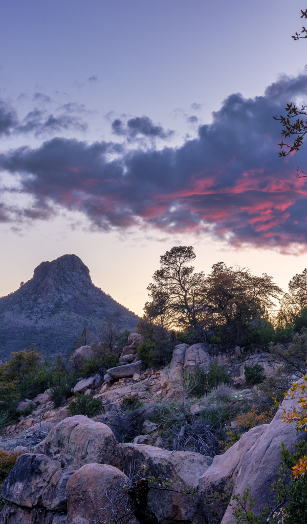 Скалистые горы под красивым вечерним небом