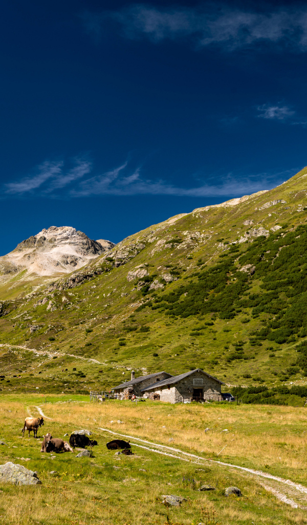 Поселение у покрытых зеленью гор под голубым небом