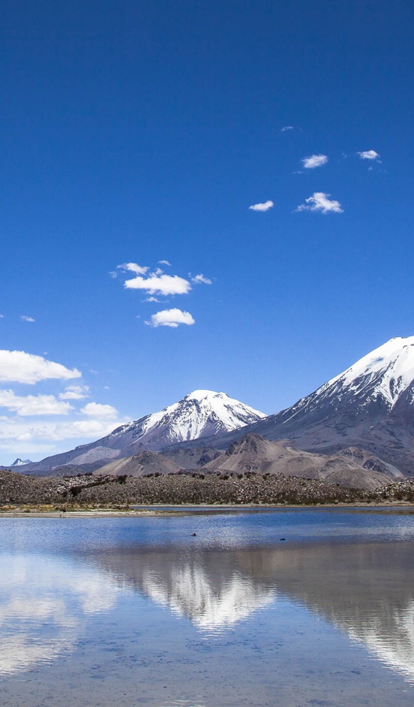 Заснеженные вершины гор под голубым небом отражаются в воде 