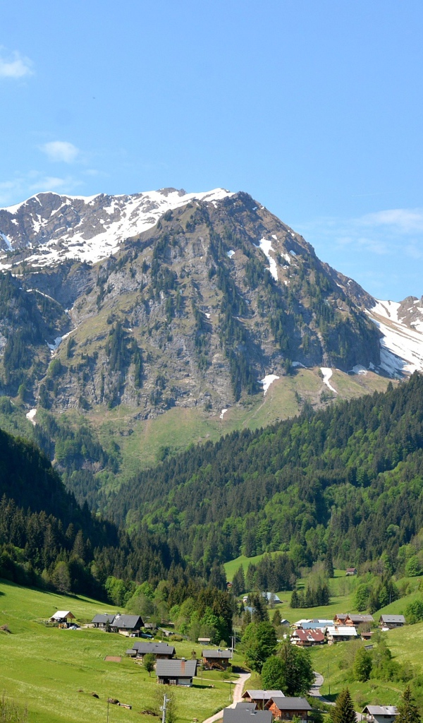 Вид на заснеженные горы и зеленый лес под голубым небом 