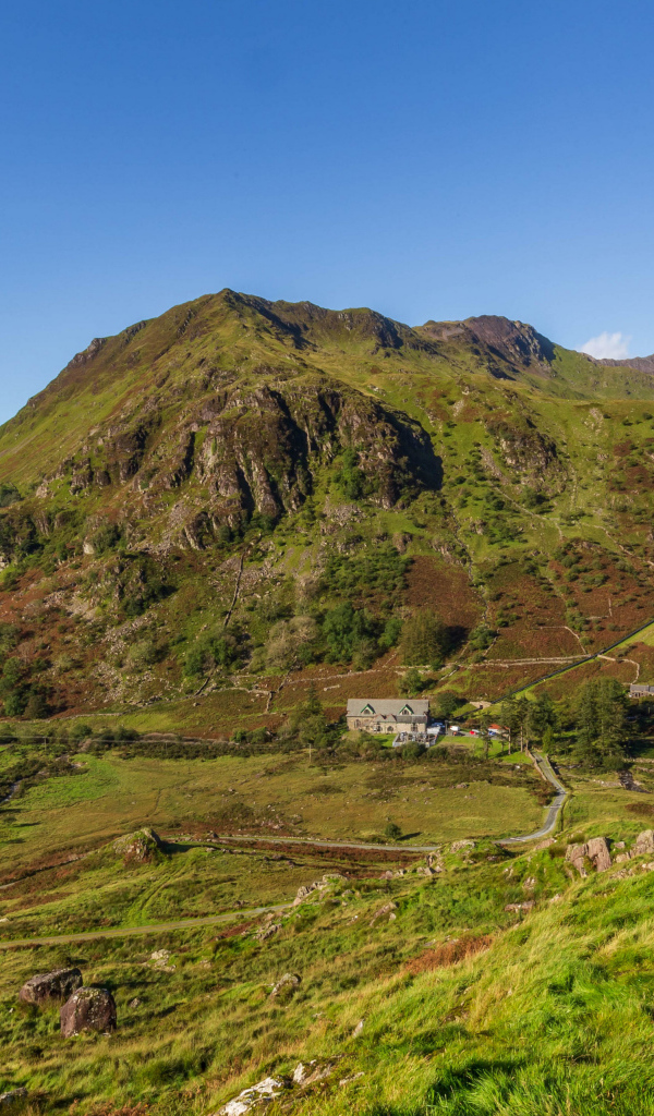 Вид на покрытую зеленью гору под голубым небом