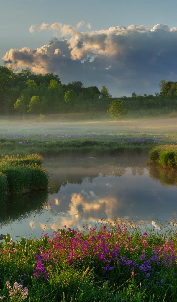 Туман над полем у реки на рассвете 