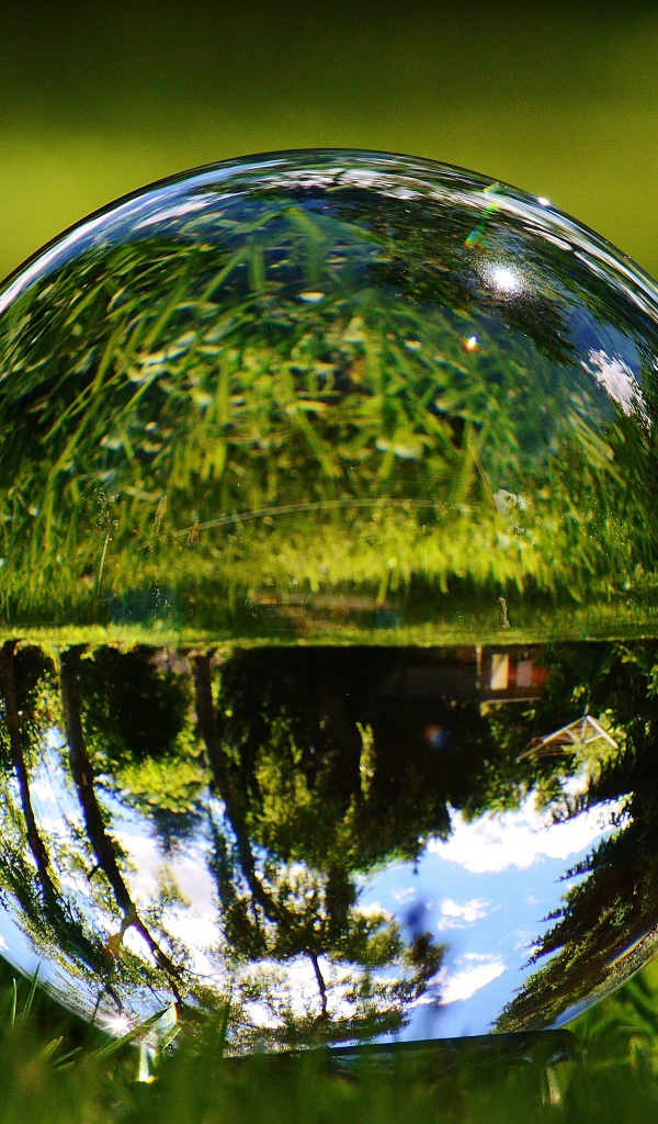 Стеклянный шар  водой на зеленой траве