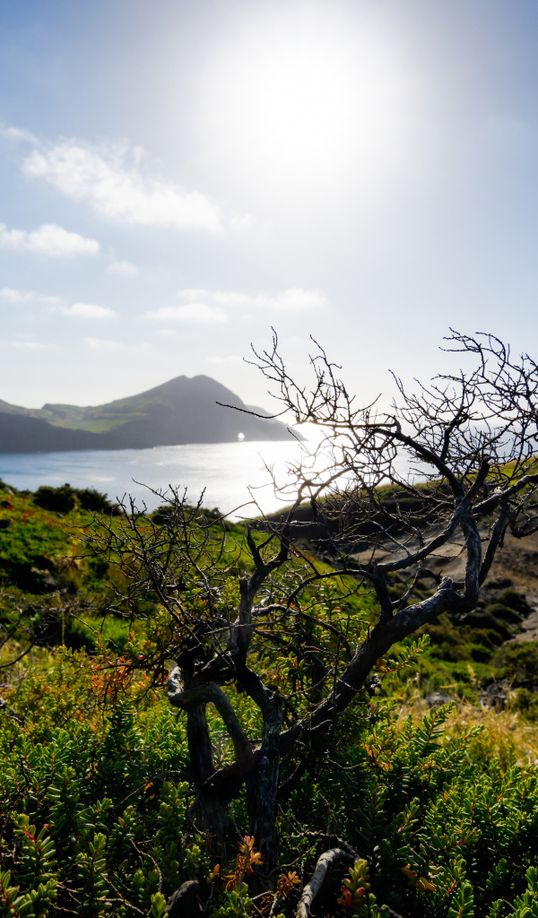 Зеленые утесы у моря на фоне яркого солнца