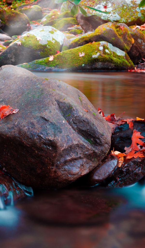 Большие мокрые камни с мхом в реке