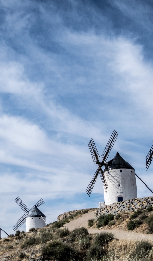 Много ветряных мельниц под голубым небом 