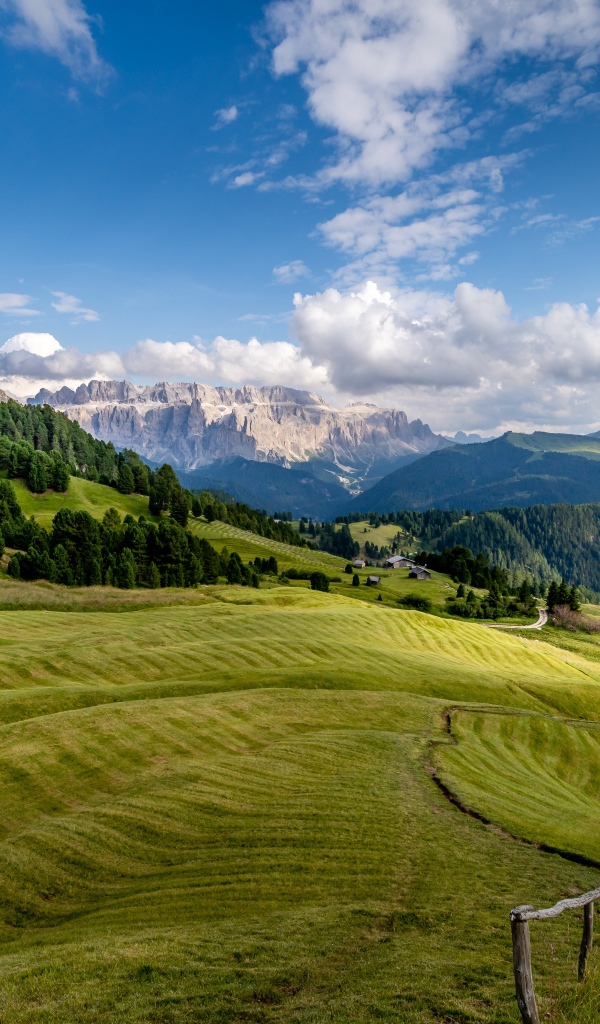 Красивый вид на зеленые холмы на фоне гор 