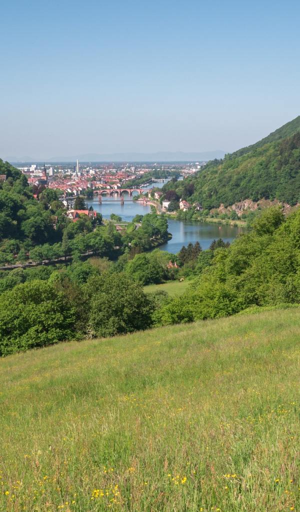 Вид с зеленого холма на реку 