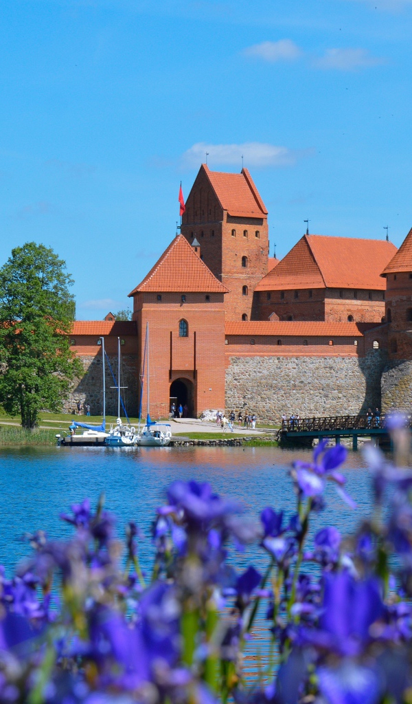 Вид на старую крепость у озера с цветами ириса